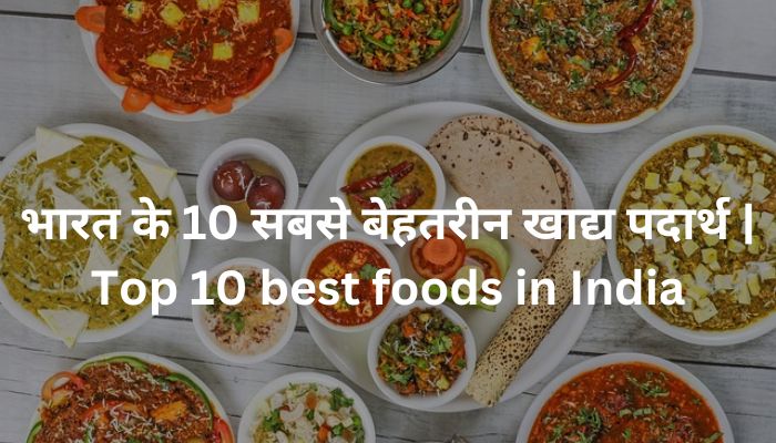 भारत के 10 सबसे बेहतरीन खाद्य पदार्थ | Top 10 best foods in India